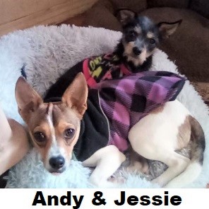 Andy and Jessie
